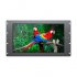 Monitor 17_ BlackMagic SmartView HD